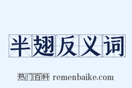 半翅反义词是什么意思的图片